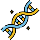 DNA 