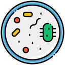 microbiologie 