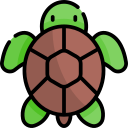 tortuga icon