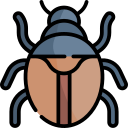 insecto icon