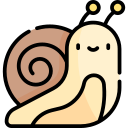 caracol