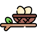 nido icon