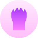 pata icon