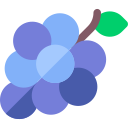 uvas icon