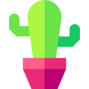 cactus icon