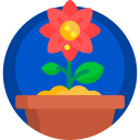 florecer icon