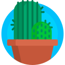 cactus icon