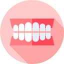 dentadura icon