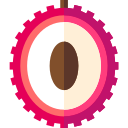 lychee icon