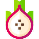 dragon de fruta icon