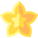 fruta estrella icon