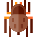 tarántula icon