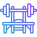 gimnasio icon