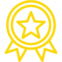 insignia icon