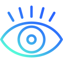 ojo icon