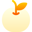 mandarina icon