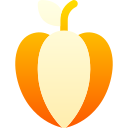 carambola icon