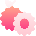 lychee icon