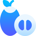 tamarillo icon