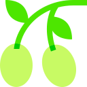 aceituna icon