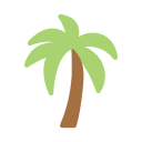 palmera icon