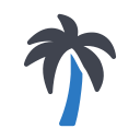 palmera icon