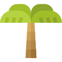 palmera icon