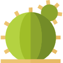 cactus icon