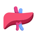 Órgão do corpo 
