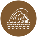 tsunami icon