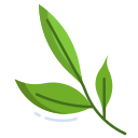 hoja de té icon