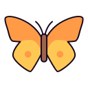 mariposa icon