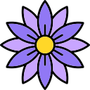 aster