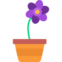 Crocus icon