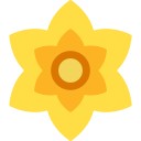 narciso icon