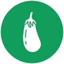 berenjena icon