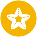 estrella de mar 