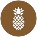 piña icon