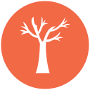 Árbol de otoño icon