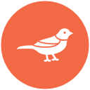 pájaro icon