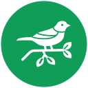 pájaro icon