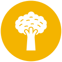 Árbol icon