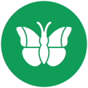 mariposa icon