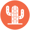 cactus icon