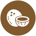 coco icon