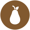 aguacate icon