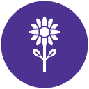 girasol icon