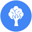 Árbol icon