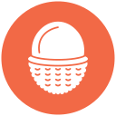 lychee icon