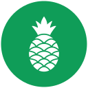 piña icon